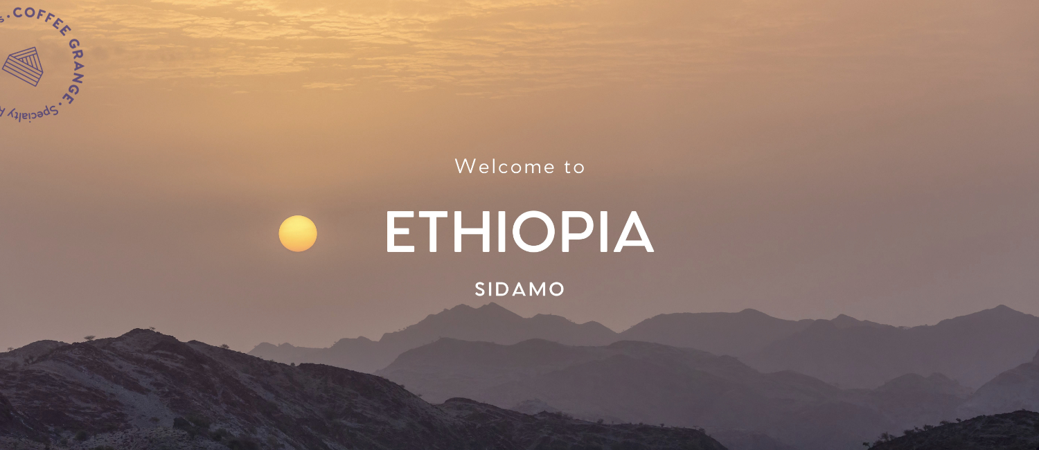 ETHIOPIA SIDAMO SHANTAWENE WASHED