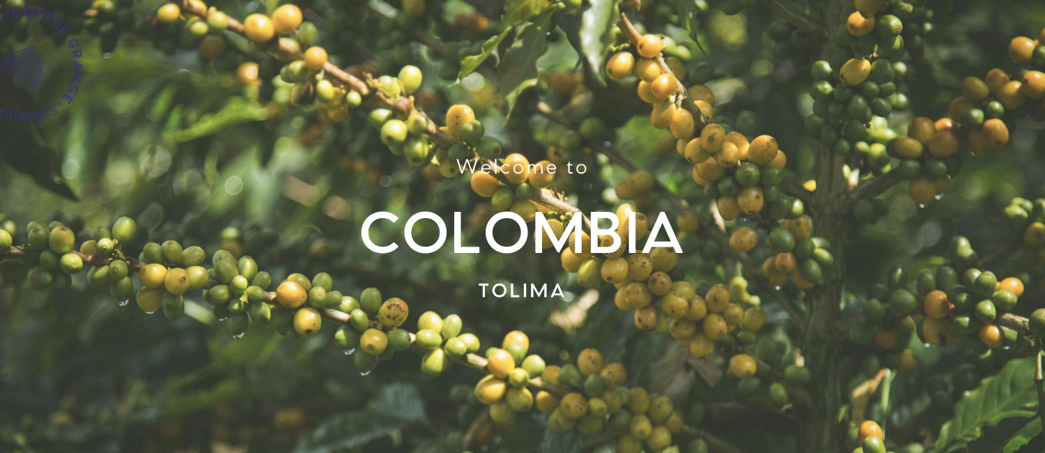 COLOMBIA TOLIMA