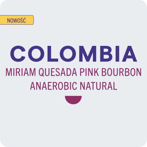 1N_COLOMBIA MIRIAM QUESADA PINK BOURBON ANAEROBIC NATURAL