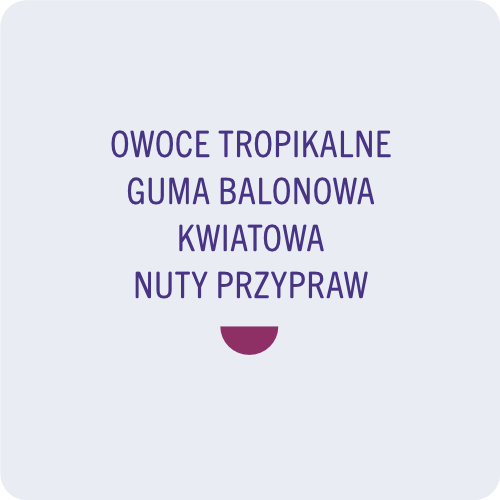 2_COLOMBIA MIRIAM QUESADA PINK BOURBON ANAEROBIC NATURAL