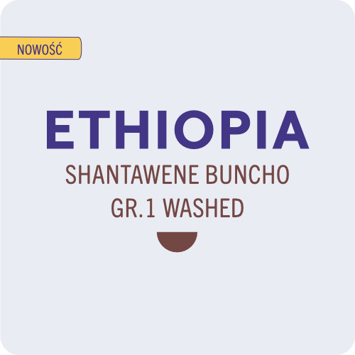 KAFELEK_1_ETHIOPIA_SHANTAWENE_BUNCHO_WASHED_NOWOSĆ